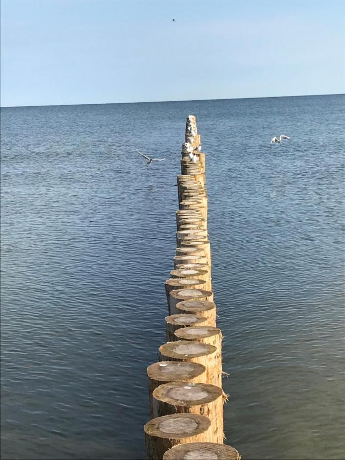 شقة Ive'S Gardenia Seaside Dziwnów المظهر الخارجي الصورة