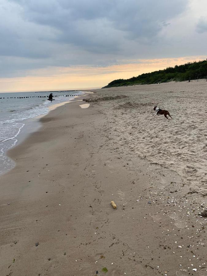 شقة Ive'S Gardenia Seaside Dziwnów المظهر الخارجي الصورة